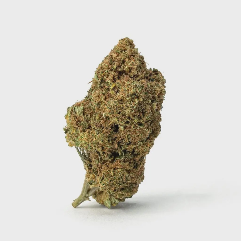 THCa Flower Sex Panther / 1 g